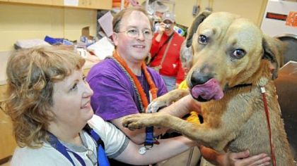 Morningside, a newly rescued pit bull-labrador mix, gets a long-overdue bath from Animal Friends volunteers Mary Schuler, left, and Kris Kaufman during the 12th Annual New Year's Eve Rescue yesterday.