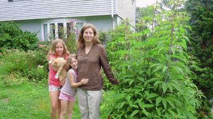 Chatham University weed scientist Nancy Gift and daughters Emily, left, and Hazel with Joe Pye weed, a volunteer that thrives in the front yard of their O'Hara home.