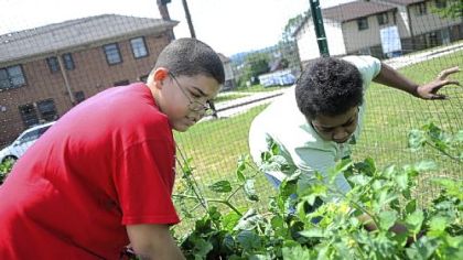 Jacob Fleming, 11, helps his grandmother, Georgia Fleming, pick produce from her garden plot in the Neighborhood Garden in downtown Washington.