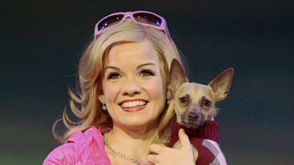Becky Gulsvig is Elle Woods and Frankie is Bruiser in "Legally Blonde the Musical" at the Benedum.