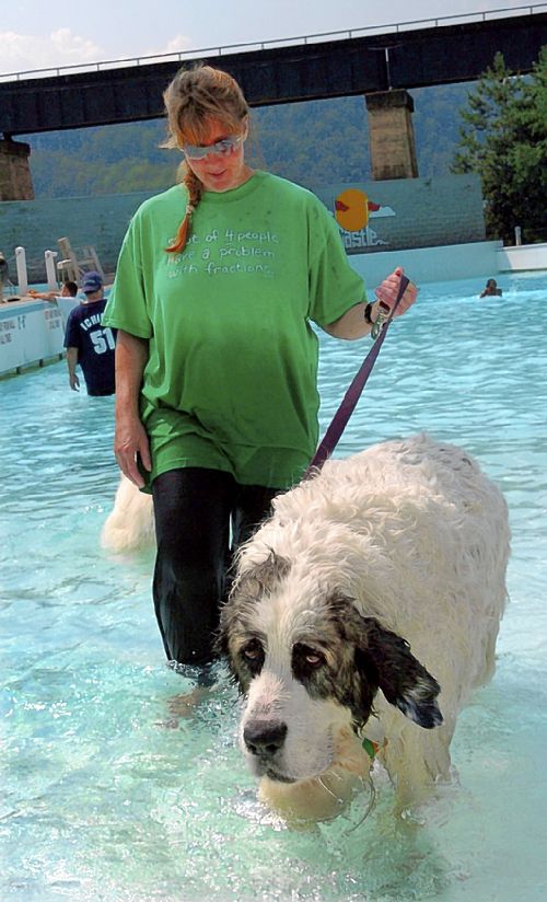 Pyrenees Mastiff