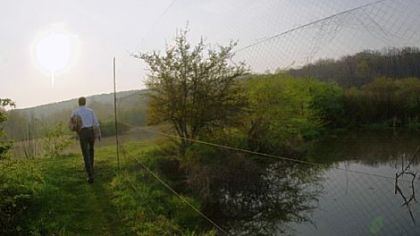 Since 1961, 500,000 birds of 190 species have been banded at Powdermill Nature Reserve. A computer system from a volunteer group now holds the data.