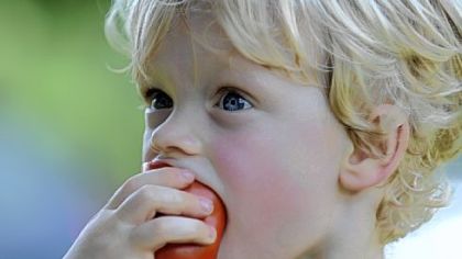 Elliot Morris, 2, munches on a tomato at  Churchview Farm run by Tara Rockacy and her husband Todd Pander in Baldwin.