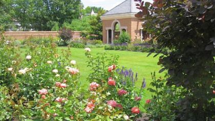 One of the brick pavilions of the rose garden at the back of the property of the Pennsylvania governor's residence. Many of the roses are low-maintenance varieties such as the Knockout series.