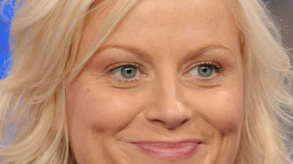 Amy Poehler's new show will be filmed in the same mockumentary style as "The Office."