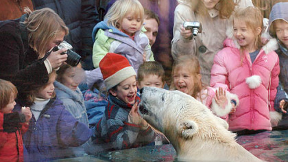 Children react as a polar bear approaches the window in the polar bear exhibit at the Pittsburgh Zoo & PPG Aquarium in 2006. The exhibit is one of the reasons the zoo was named fourth best in the country for kids by Parents magazine.