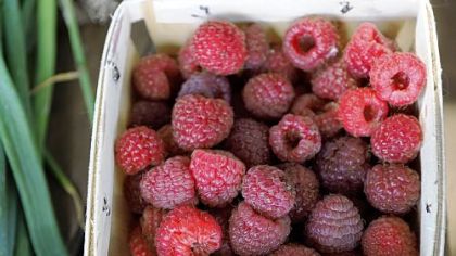 Red raspberries harvested at Churchview Farm in Baldwin.