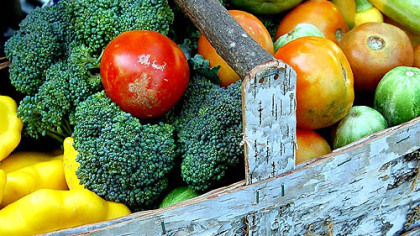 There's nothing better than fresh produce.