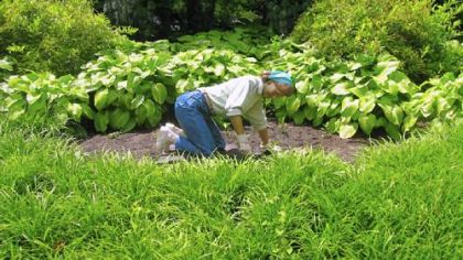 Seward Johnson sculpture of a gardener.