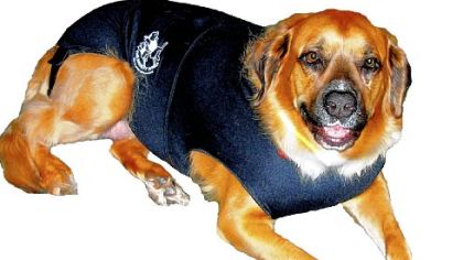 The Anxiety Wrap can ease your dog and cat's anxieties.