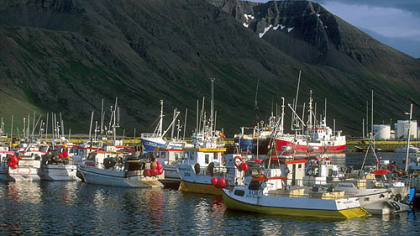 Fishing boats in the Westfjords of Iceland.
