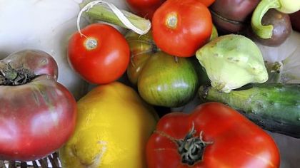 A sample of the vegetables grown Churchview Farm in Baldwin including heirloom tomatoes, squashes and peppers.