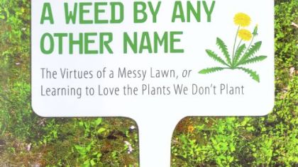 In "A Weed by Any Other Name," Nancy Gift, assistant professor of environmental studies at Chatham University, passes along the idea that weeds are beautiful.