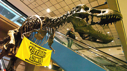 A Steelers terrible towel hangs on a T-Rex model at the Pittsburgh International Airport in January 2006.