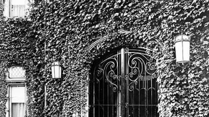 In 1949, ivy framed the wrought iron gates at the main entrance of the red brick mansion owned by David McCahill, who donated it that year to the Roman Catholic Diocese of Pittsburgh for use as a bishop's residence.