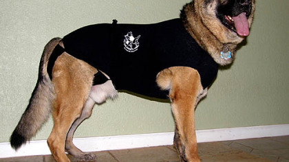 The Anxiety Wrap was created to be an alternative or holistic approach to behavior modification for dog and cats.