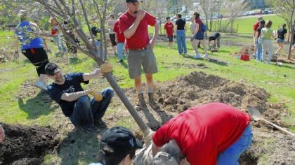 The Pittsburgh Sakura Project members plant 40 cherry trees in North Park near the boathouse. Setting a tree in place are, clockwise from left: John Zirckel, holding tree, of Richland; Rob Hellested, of West Deer; Jack Greaf, of Franklin Park; and Takeshi Mori, also of Franklin Park. They all work at Mitsubishi Electric Power Products in Cranberry.