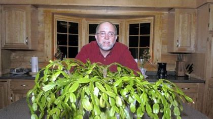 Rich Gebrosky of Murraysville with a Christmas cactus that dates back to 1914.