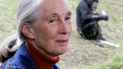 Jane Goodall