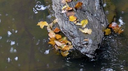 An eight-foot section of the rock lies in Peters Creek, 20 feet below its base, which is still embedded in the creek bed.