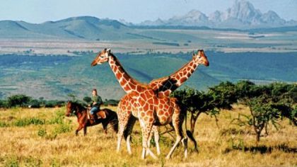 Mount Kenya looms over the Lewa Downs Conservancy in Kenya.