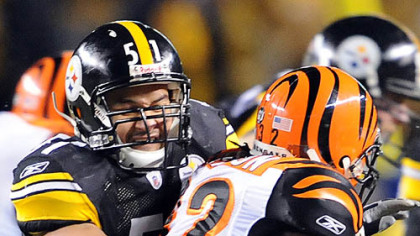 Steelers linebacker James Farrior on Cincinnati: "They look like they know what they're doing."