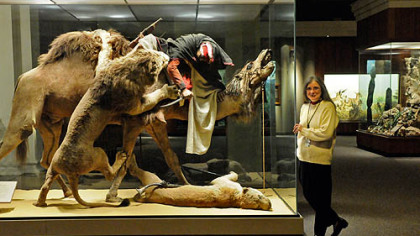 Suzanne McLaren, manager of the Carnegie Museum of Natural Historys mammal research collection, with the venerable "Arab Courier Attacked by Lions" exhibit. It will become the first in a series of Carnegie Memories snow globes.