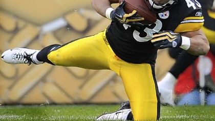 Steelers safety Troy Polamalu has not played since Nov. 15.