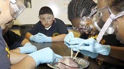 Seventh-grade students at Edwards Middle School dissect a guinea-pig heart during their science class at the Boston school, which is part of a 3-year-old state initiative to add 300 hours of school time in nearly two dozen schools.